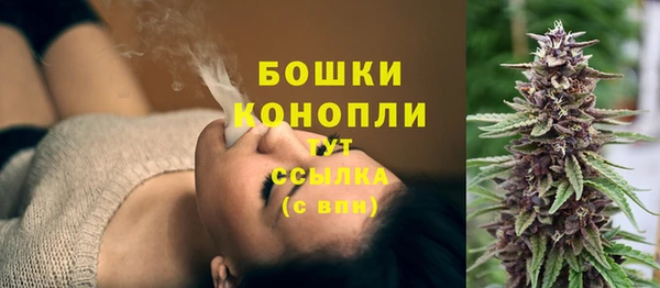 гидропоника Богданович