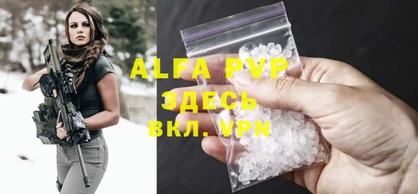 спиды Белокуриха